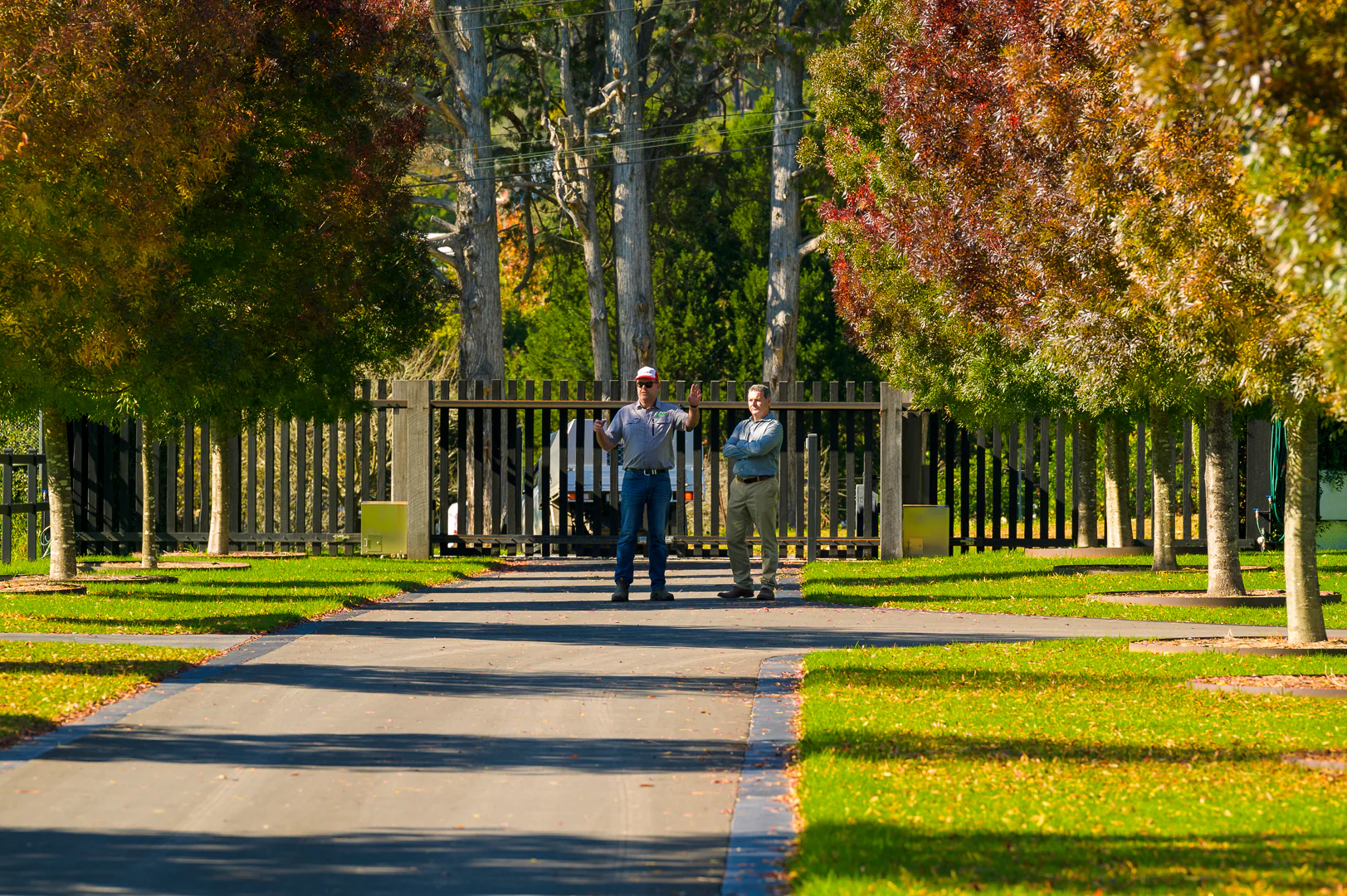 The Future of Mowing Lawns